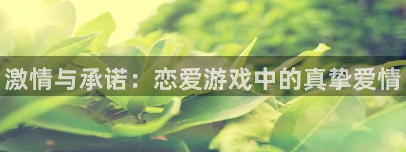 杏悦平台招商：激情与承诺：恋爱游戏中的真挚爱情