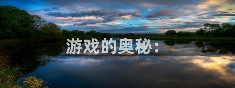 杏悦是什么平台