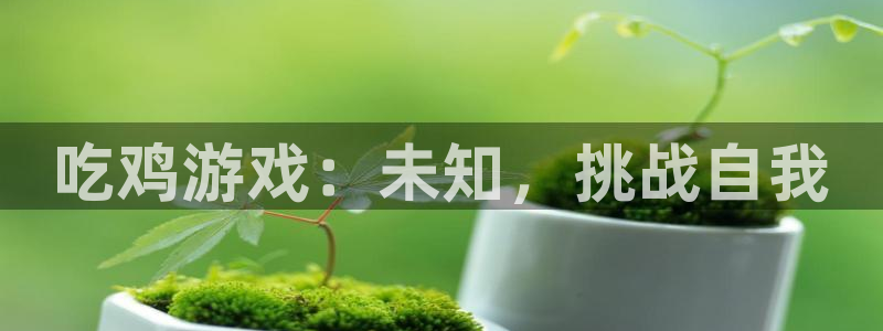 杏悦平台注册地址：吃鸡游戏：未知，挑战自我