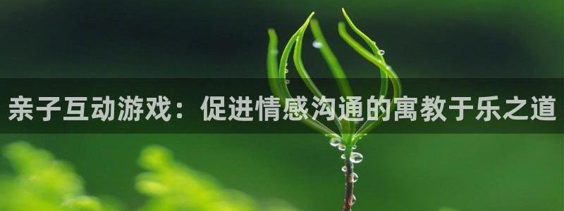 杏悦平台官网注册：亲子互动游戏：促进情感沟通的寓教于乐之道