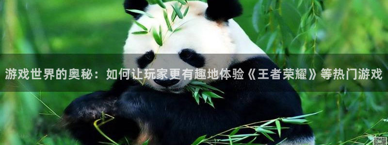 杏悦平台官网注册