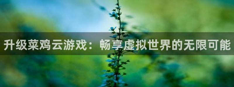 杏悦娱乐会员开户注册