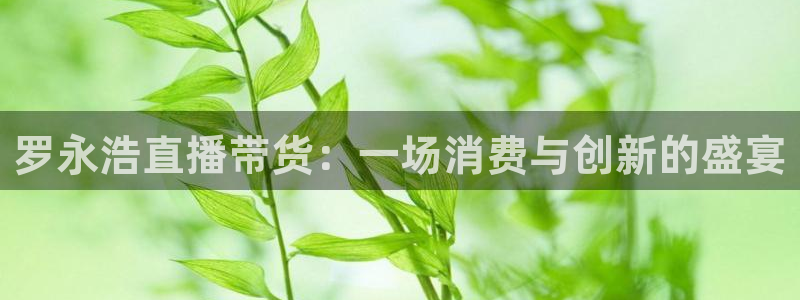 24直播网看球：罗永浩直播带货：一场消费与创新的盛宴