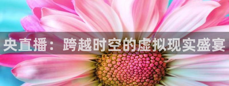 足球直播24直播网在线：央直播：跨越时空的虚拟现实盛宴