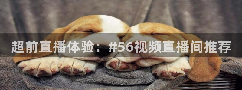足球24直播网：超前直播体验：#56视频直播间推荐