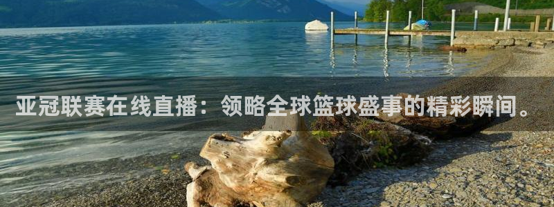 24直播足球在线直播：亚冠联赛在线直播：领略全球篮球盛事的精彩瞬间。