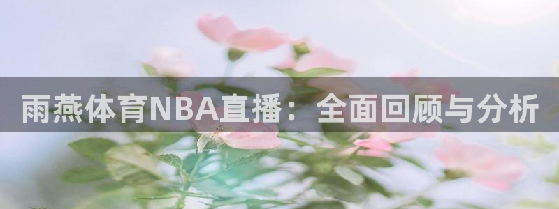 nba 24直播：雨燕体育NBA直播：全面回顾与分析
