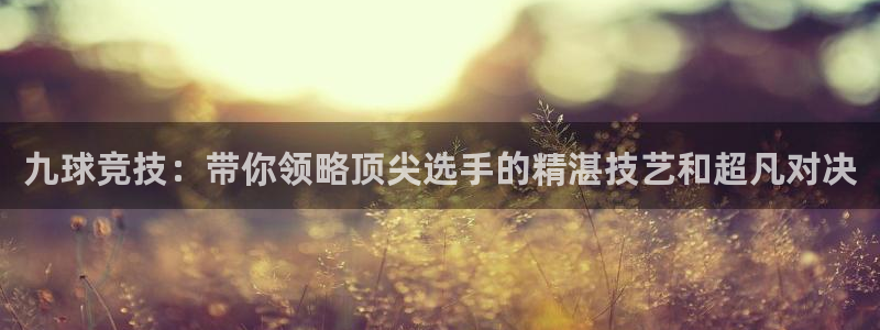 英超直播24直播网：九球竞技：带你领略顶尖选手的精湛技艺和超凡对决
