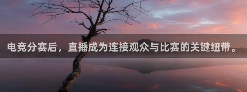 24直播免费足球直播178：电竞分赛后，直播成为连接观众与比赛的关键纽带。